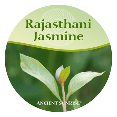 Discontinued  Ancient Sunrise Rajasthani Jasmine Henna for Hair