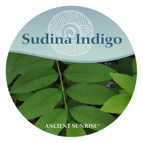Indigo Runes Organic Indigo a natural hair dye Ancient Sunrise Sudina indigo use ...